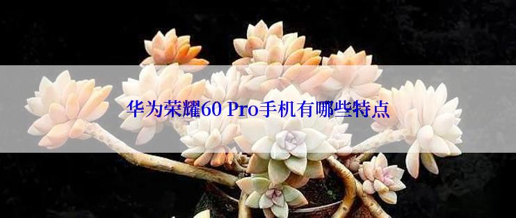 华为荣耀60 Pro手机有哪些特点