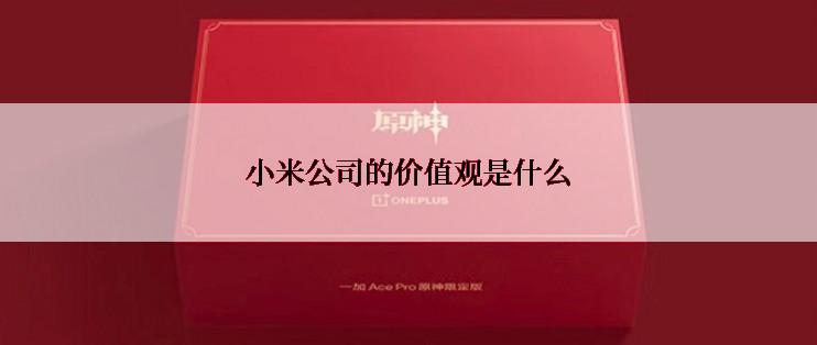 小米公司的价值观是什么