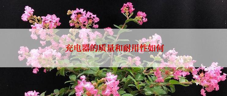  充电器的质量和耐用性如何