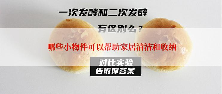  哪些小物件可以帮助家居清洁和收纳