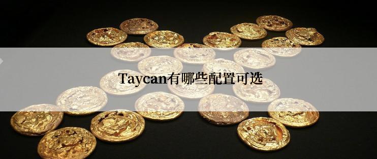  Taycan有哪些配置可选