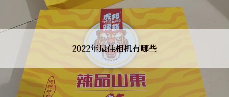 2022年最佳相机有哪些