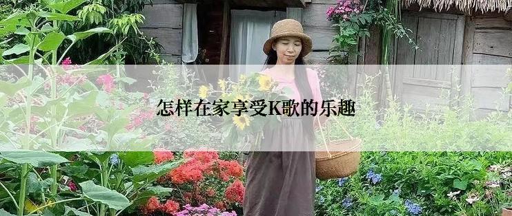 怎样在家享受K歌的乐趣