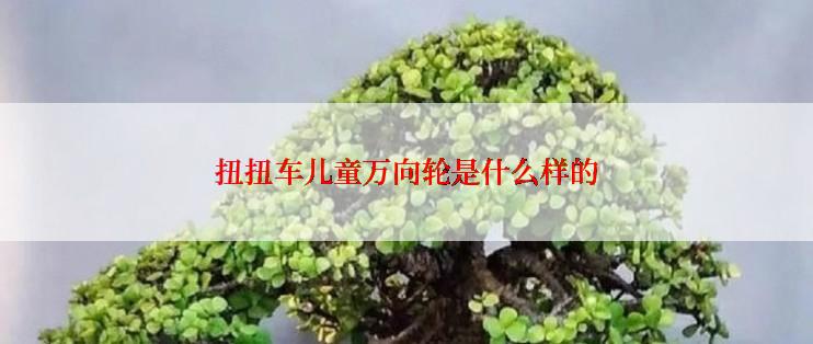 扭扭车儿童万向轮是什么样的