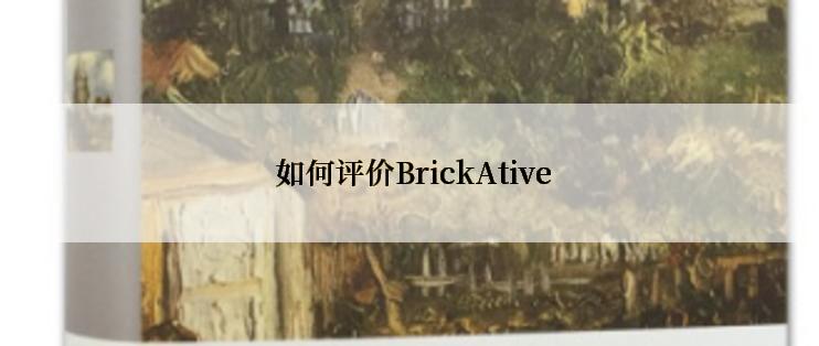  如何评价BrickAtive