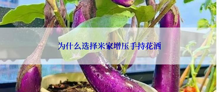 为什么选择米家增压手持花洒