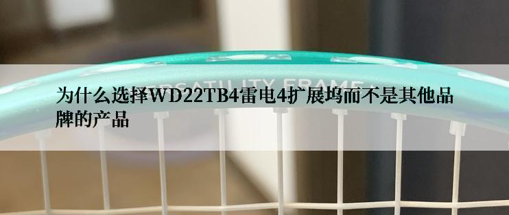 为什么选择WD22TB4雷电4扩展坞而不是其他品牌的产品