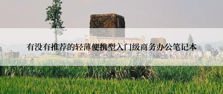 有没有推荐的轻薄便携型入门级商务办公笔记本