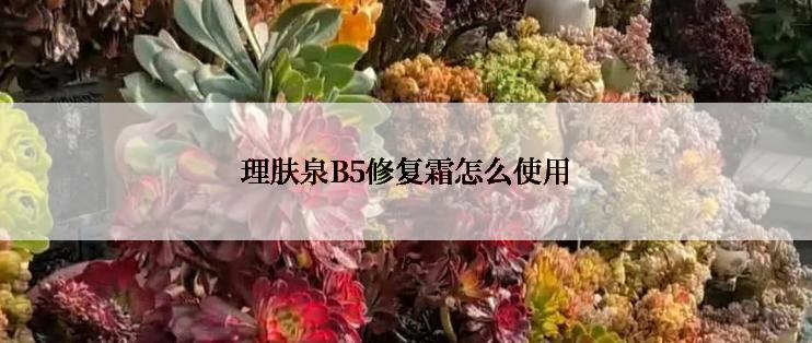 理肤泉B5修复霜怎么使用