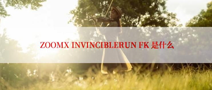  ZOOMX INVINCIBLERUN FK 是什么