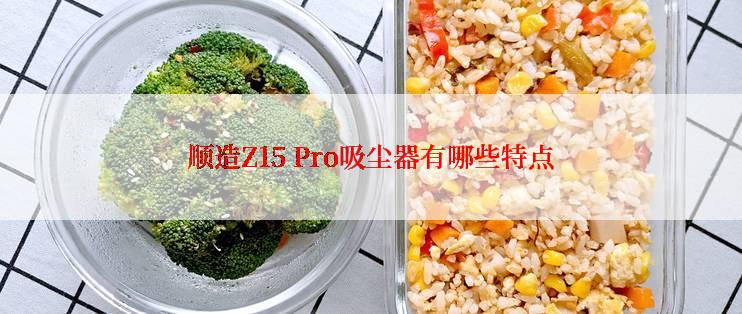 顺造Z15 Pro吸尘器有哪些特点