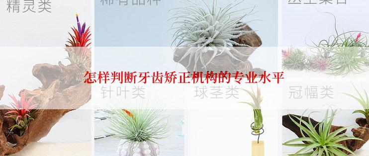 怎样判断牙齿矫正机构的专业水平