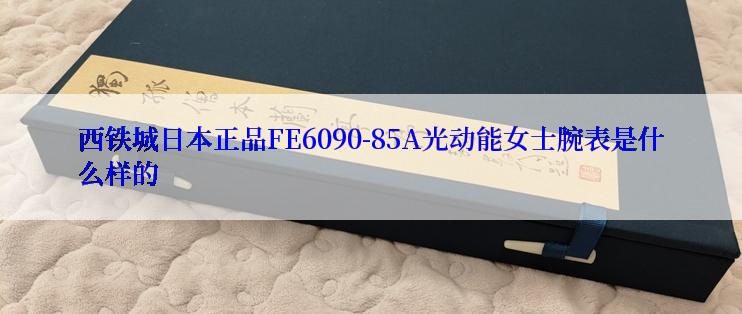 西铁城日本正品FE6090-85A光动能女士腕表是什么样的