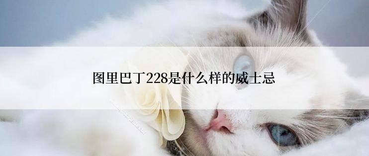 图里巴丁228是什么样的威士忌