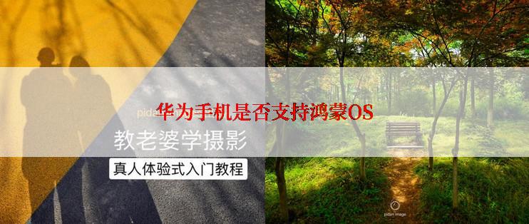 华为手机是否支持鸿蒙OS