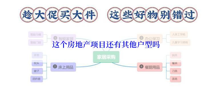 这个房地产项目还有其他户型吗