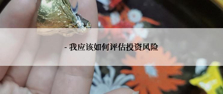 - 我应该如何评估投资风险