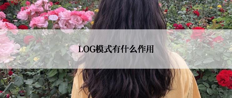 LOG模式有什么作用