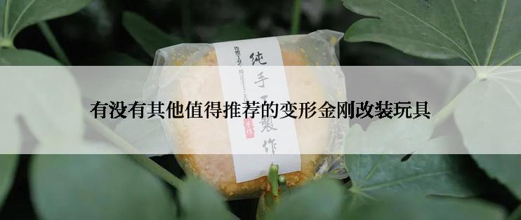 有没有其他值得推荐的变形金刚改装玩具