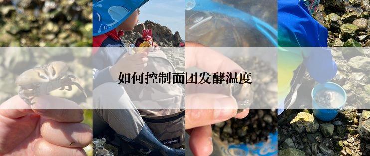 如何控制面团发酵温度