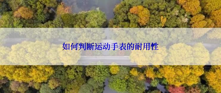 如何判断运动手表的耐用性