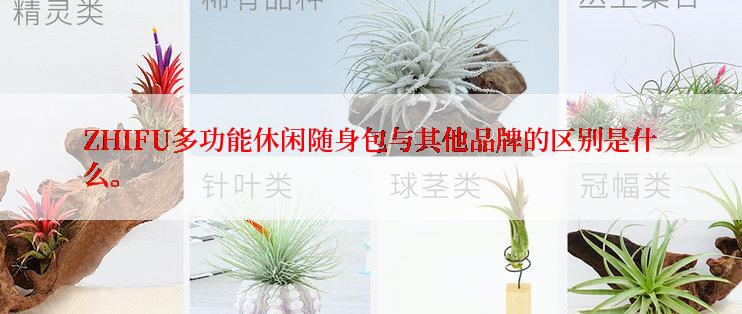 ZHIFU多功能休闲随身包与其他品牌的区别是什么。