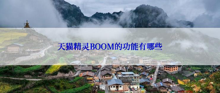 天猫精灵BOOM的功能有哪些