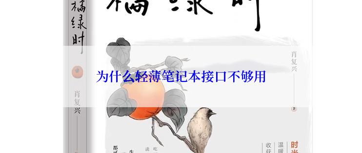 为什么轻薄笔记本接口不够用