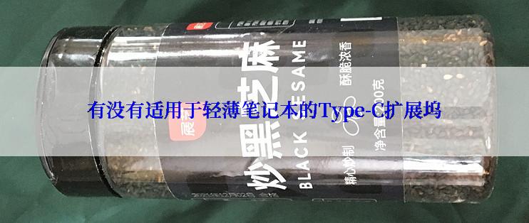 有没有适用于轻薄笔记本的Type-C扩展坞