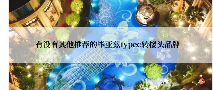  有没有其他推荐的毕亚兹typec转接头品牌