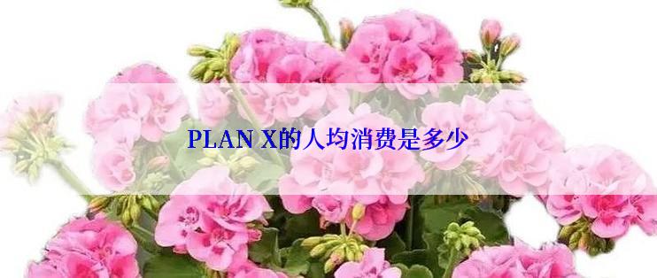 PLAN X的人均消费是多少