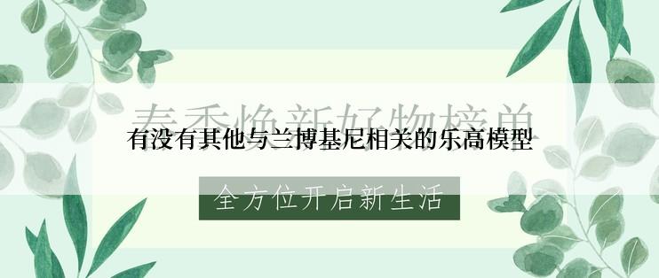 有没有其他与兰博基尼相关的乐高模型