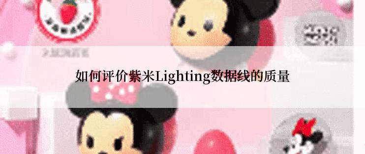 如何评价紫米Lighting数据线的质量