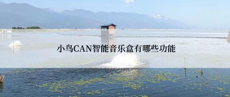  小鸟CAN智能音乐盒有哪些功能