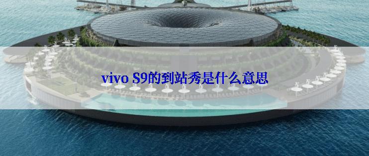 vivo S9的到站秀是什么意思