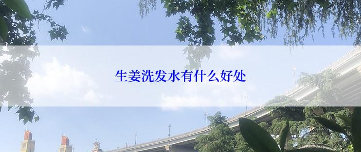 生姜洗发水有什么好处