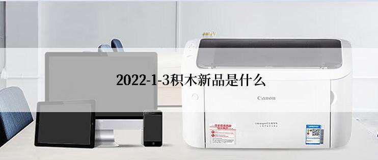  2022-1-3积木新品是什么