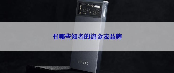 有哪些知名的流金表品牌