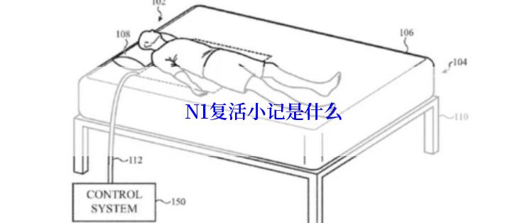 N1复活小记是什么