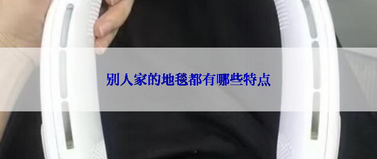 别人家的地毯都有哪些特点