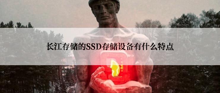 长江存储的SSD存储设备有什么特点