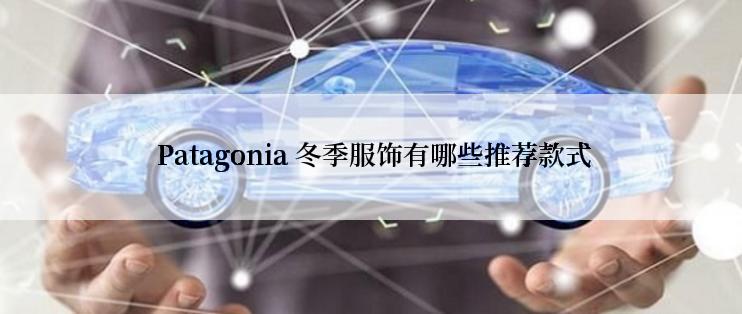  Patagonia 冬季服饰有哪些推荐款式