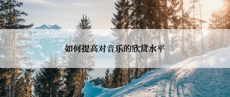 如何提高对音乐的欣赏水平