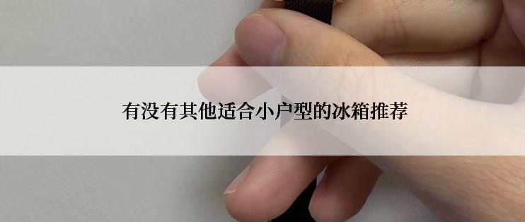  有没有其他适合小户型的冰箱推荐