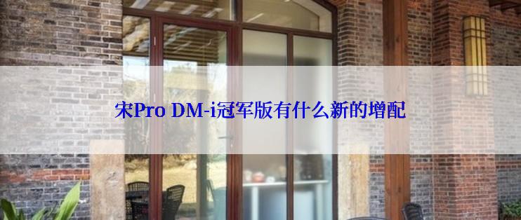 宋Pro DM-i冠军版有什么新的增配