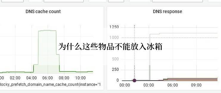 为什么这些物品不能放入冰箱