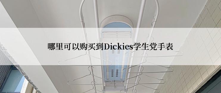 哪里可以购买到Dickies学生党手表