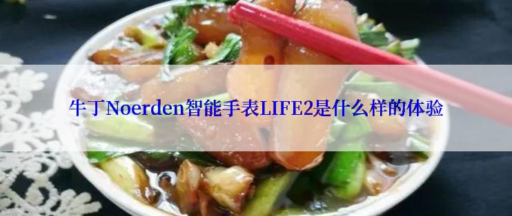 牛丁Noerden智能手表LIFE2是什么样的体验