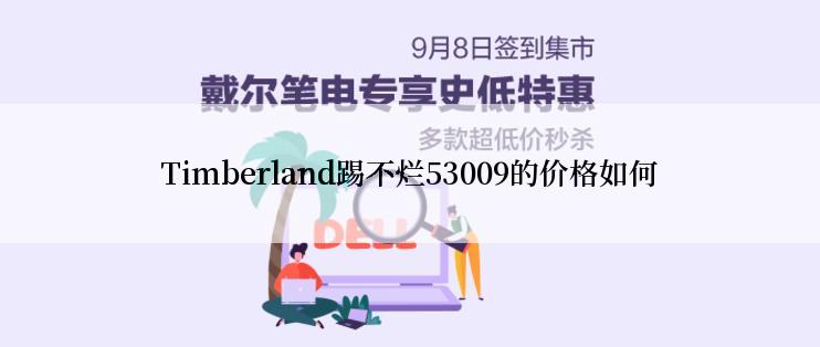 Timberland踢不烂53009的价格如何