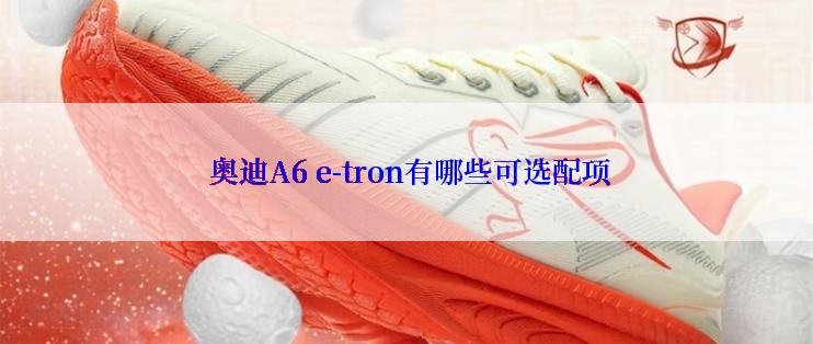  奥迪A6 e-tron有哪些可选配项